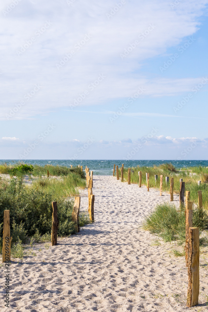 Fototapeta premium Weg zum Strand, Ostsee