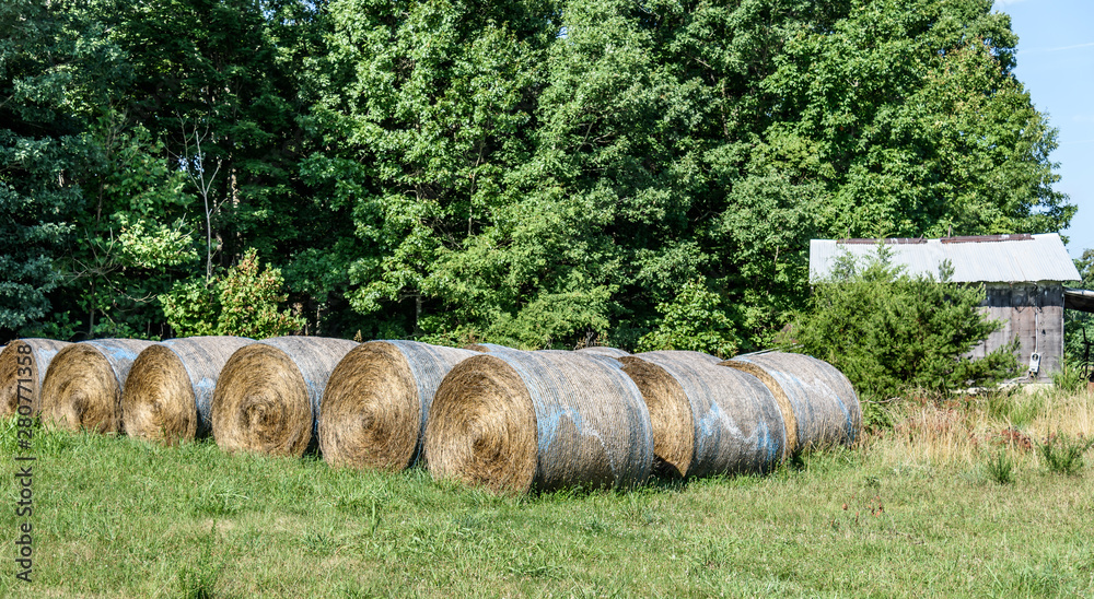 Agricultural Landscape of Many Hay Bales in a Field Next to an Old Barn Agricultural Landscape of Many Hay Bales in a Field Next to an Old Barn