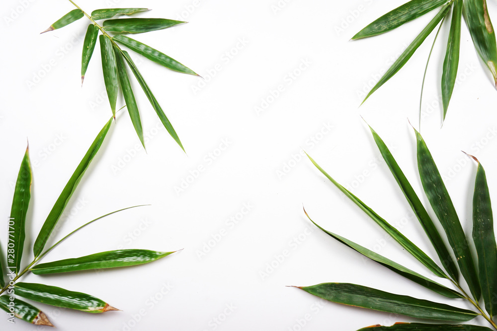 Obraz premium bamboo background with green leaves