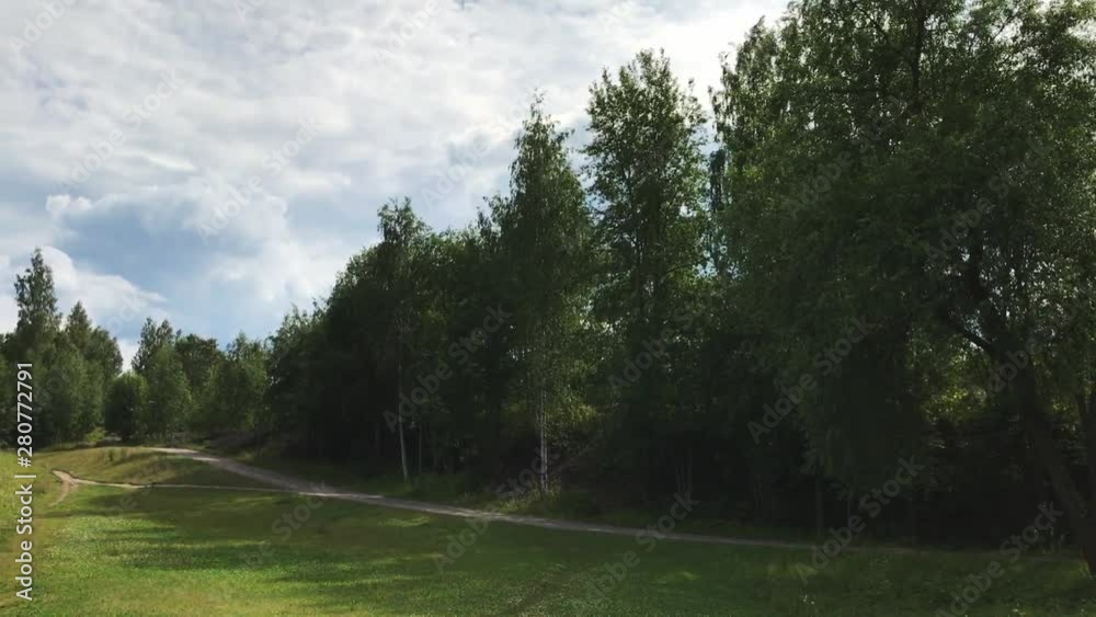 Walking day in forest. Trees branches, green grass, blue sky and freshness air. Beautiful summer nature. Walking day in forest. Trees branches, green grass, blue sky and freshness air. Beautiful summer nature.