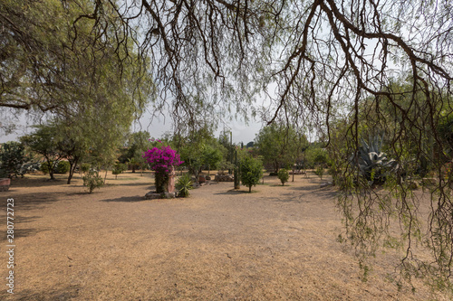 Φωτογραφία Park in La Aldea colonia in San Miguel de Allende