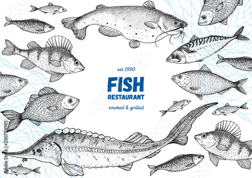 Fish sketch collection. Hand drawn vector illustration. Seafood frame vector illustration. Food menu illustration. Hand drawn perch, mackerel, sturgeon, catfish. Engraved style. Sea and river fish