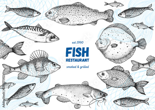 Fish sketch collection. Hand drawn vector illustration. Seafood frame vector illustration. Food menu illustration. Hand drawn flounder, mackerel, perch, catfish, bream. Sea and river fish.