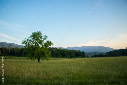 Scenic meadow landscape with mountains in background