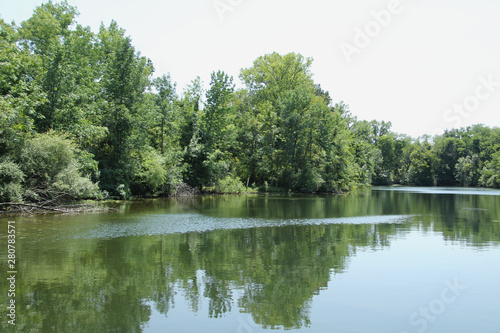 Reflections in the Lake