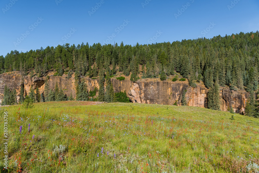 Grassy meadow with red, blue, and purple wildflowers below a cliff of red sandstone above the Piedra River near Pagosa Springs, Colorado