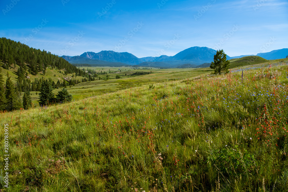 Grassy meadow with red and blue wildflowers with the Rock Mountains in the background near Pagosa Springs, Colorado