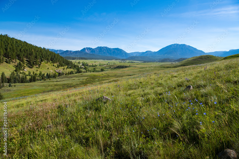 Grassy fields, meadows and wildflowers with ranches, farms and the Rocky Mountains in the distance at the head of the Piedra River Canyon near Pagosa Springs, Colorado