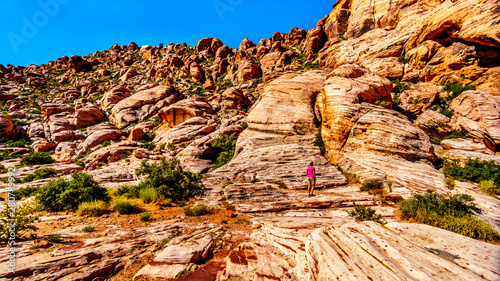 Photography Senior Woman enjoying the view of the colorful rocks during a hike in Red Rock C