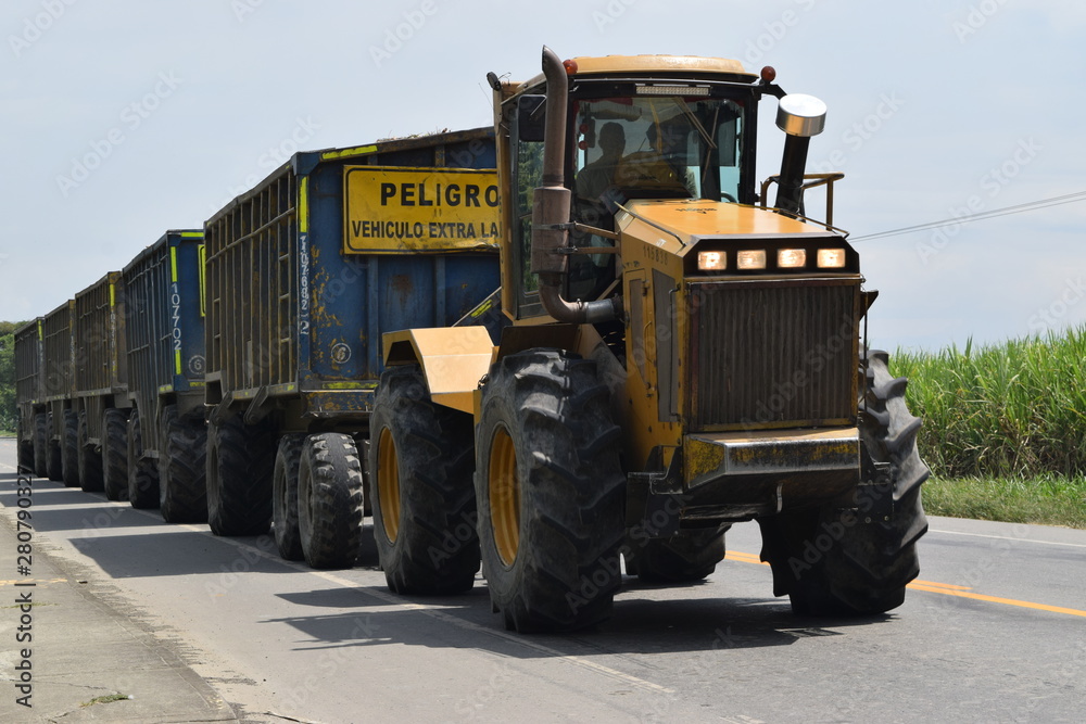 Obraz premium Transporting sweet cane, cane train. Cali, Colombia.