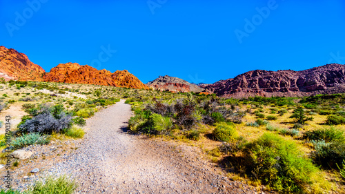 Canvas Print View of the Red Sandstone Mountains from the Ash Canyon Trail in Red Rock Canyon
