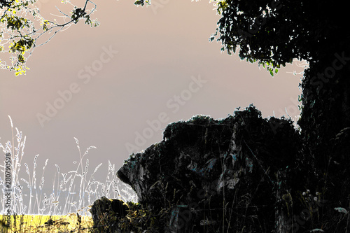 paysage onirique
