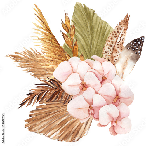 Bouquet with pampas grass, flowers, feather and cotton, watercolor hand draw floral element in boho style, isolated on white background
