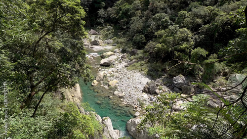Mountain river in the forest