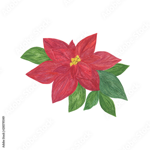 Traditional winter holidays plant red poinsettia flower, Christmas watercolor hand drawn illustration, isolated object on the white background