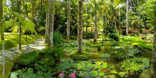 Fotografi Terra Nostra Park in the Azores is a large botanical garden with a huge variety of plants and trees and with lakes, streams and a pool of volcanic origin