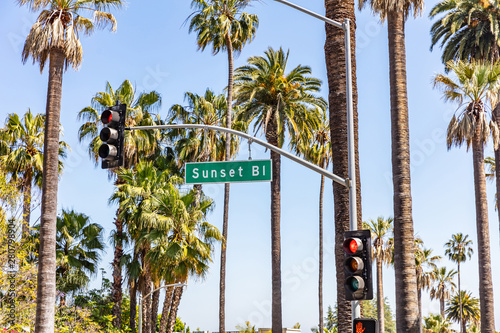 Sunset Bl. LA, California, USA. Green sign, red traffic lights and palm trees photo