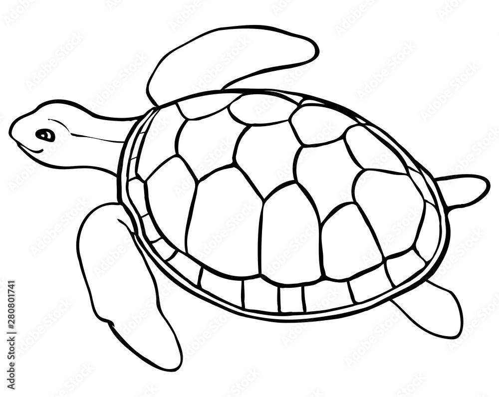 Contour turtle   coloring page for kids, line art Stock Vector ...