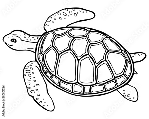 Big turtle - contour drawing, coloring page with simply decor