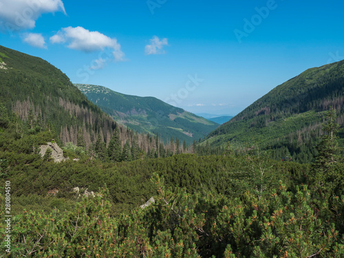Beautiful mountain valley Smutna dolina with spruce tree forest, dwarf scrub pine and green mountain peaks. Western Tatras mountains, Rohace Slovakia, summer, blue sky background