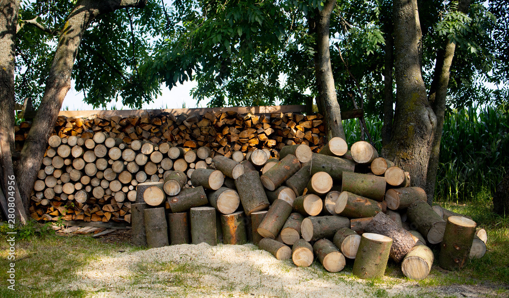 pile of logs in forest, Republika Czeska pile of logs in forest, Republika Czeska