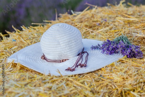 lavender field bulgaria women's hat