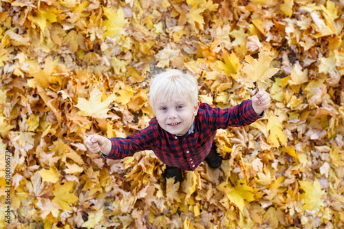 Cute blond boy stands in a autumn leaves and looks up. Top view. Autumn concept