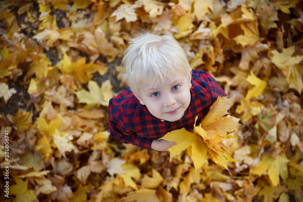 Blond boy with a bouquet of autumn leaves stands and looks up. Top view. Autumn concept Blond boy with a bouquet of autumn leaves stands and looks up. Top view. Autumn concept
