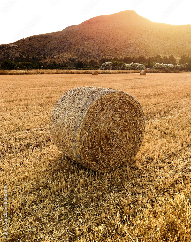 Hay bale in a harvested field at sunset on the Majorca island