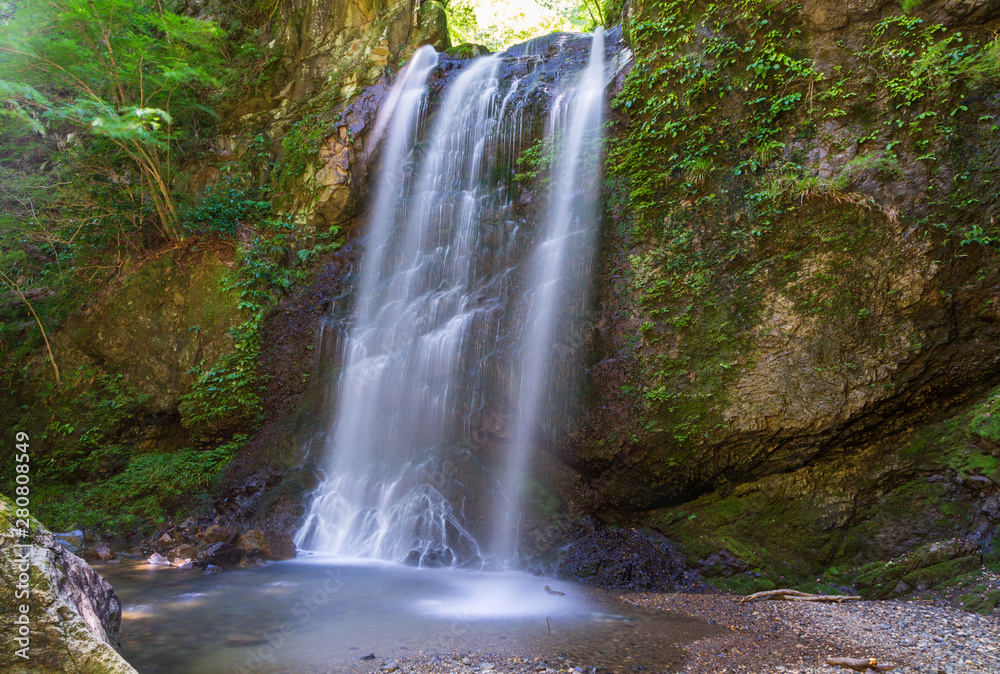 Fototapeta premium 夏の裏丹沢相模原牧馬大滝