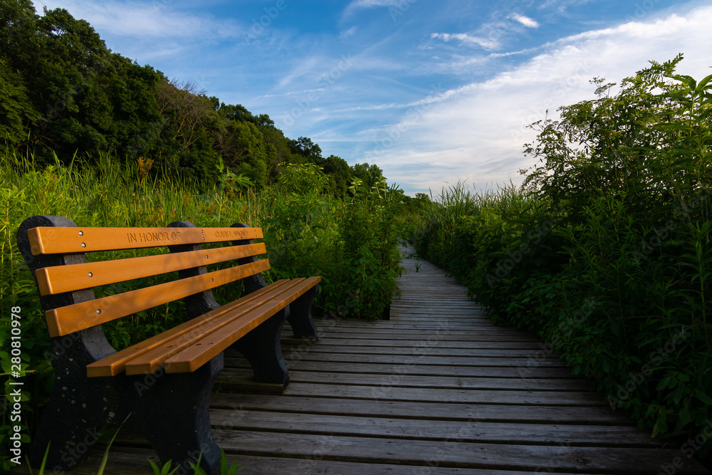 Bench on the trail Bench on the trail