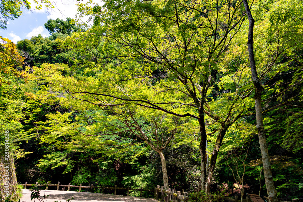 Hiking trail along Minoh river for Minoh falls