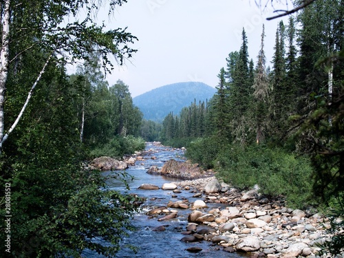 river in the forest