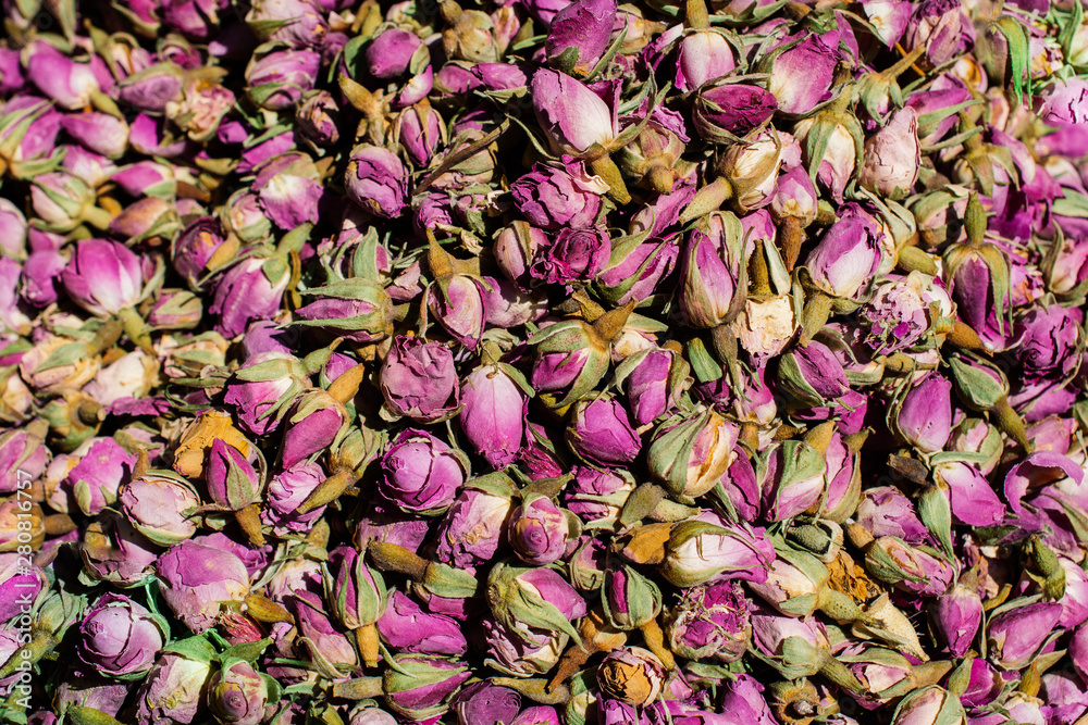 Background of dried petals and buds of rose Background of dried petals and buds of rose