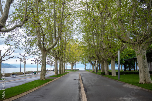 Fototapeta Naklejka Na Ścianę i Meble -  Alphalt street with trees in public park beside the Geneva lake, Lausanne, Switzerland