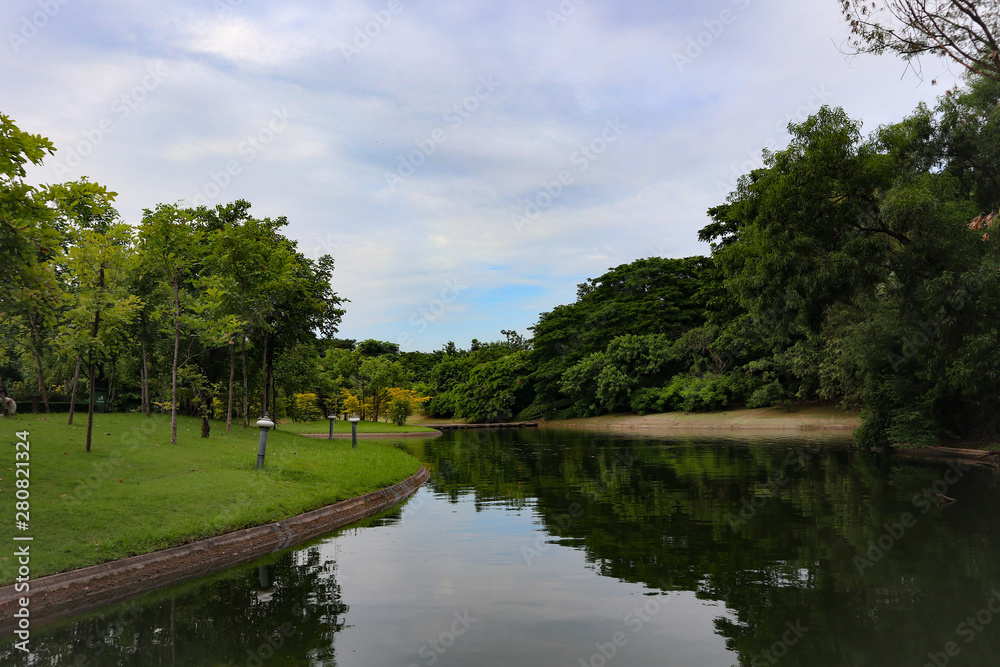 Fototapeta premium Beautiful colorful red and pink flowers and green nature plant tree forest in the public garden and green city parks
