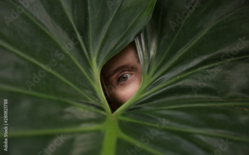 Human eye in the middle of a green leaf. Close-up beautiful eye of the young girl on a green leaf background