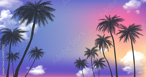Summer sunset palm trees. Beatiful tropical, exotic wit clouds in sky.Vector illustration. EPS 10