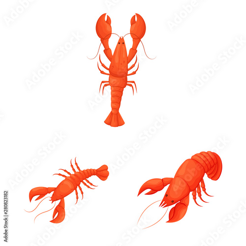 Vector design of shrimp and crab logo. Collection of shrimp and sea vector icon for stock.