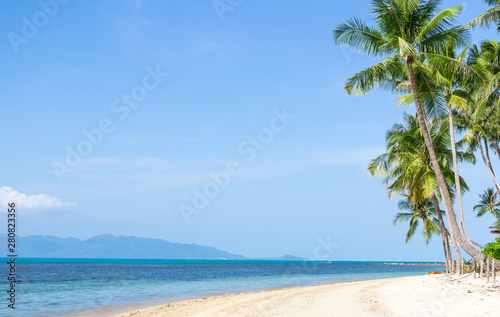 Coconut palm trees on island and sand beach. Summer concept