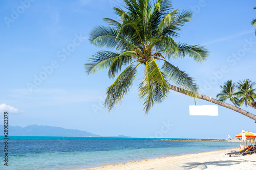 Coconut palm trees on island and sand beach. Summer concept