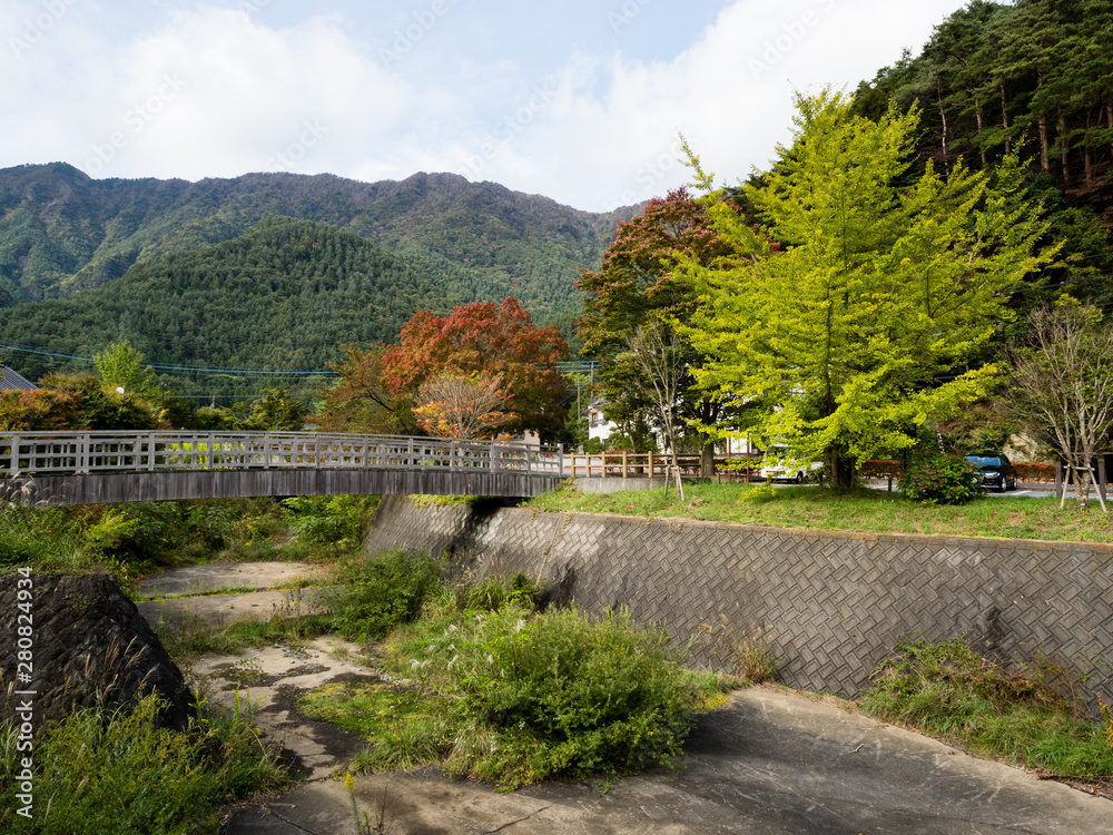 Fototapeta premium Landscape around Lake Saiko - Fuji Five Lakes, Japan