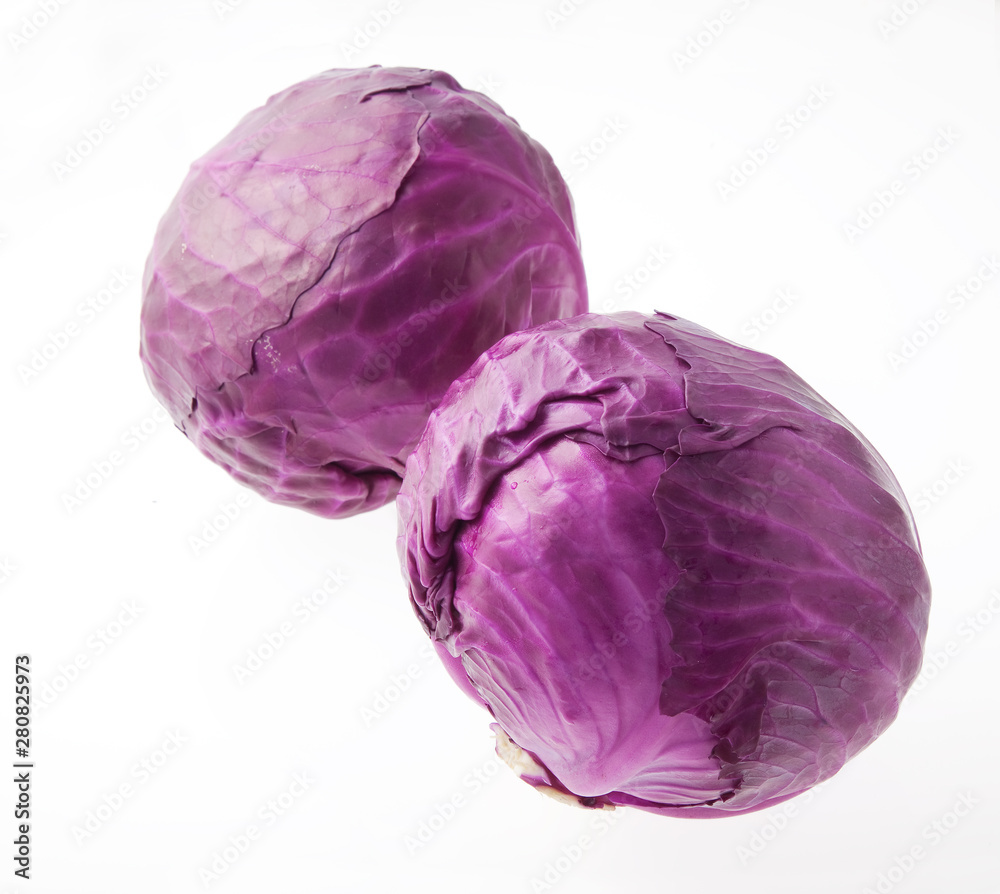 紫キャベツ 紫キャベツ