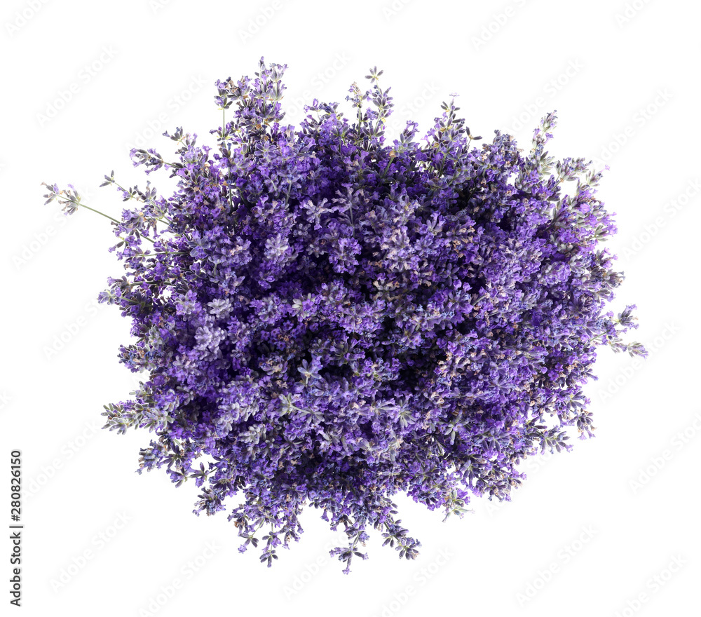 Obraz premium Bouquet of fresh lavender flowers on white background, top view
