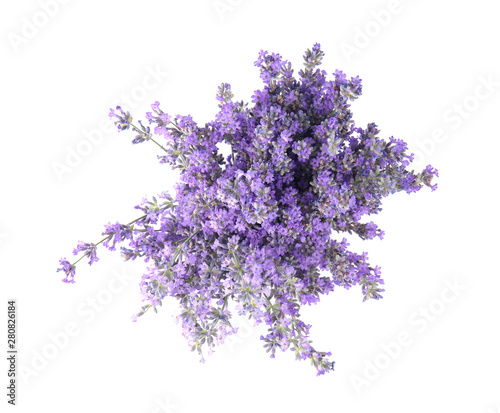 Beautiful tender lavender flowers on white background  top view