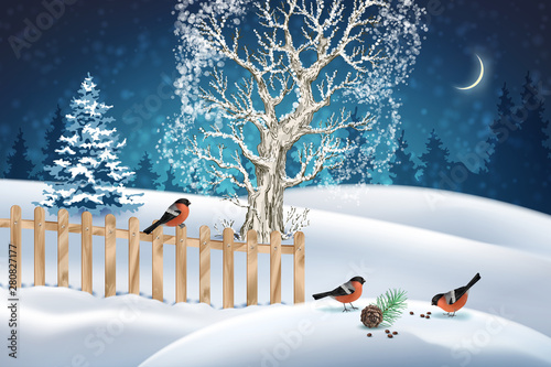 Christmas winter scene