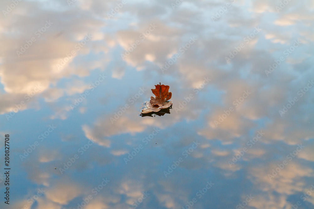 Fototapeta premium boat of leaves is floating in the autumn lake