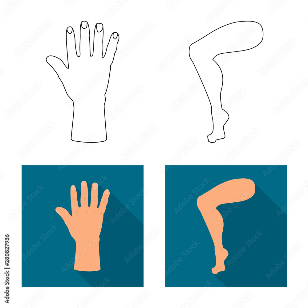 Vector illustration of body and part symbol. Collection of body and anatomy stock vector illustration. Vector illustration of body and part symbol. Collection of body and anatomy stock vector illustration.