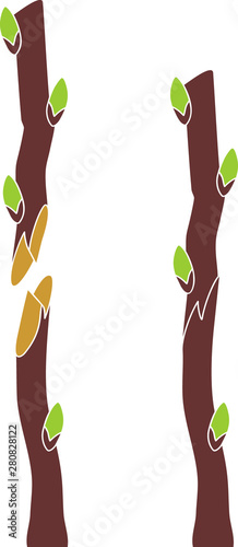 Spring grafting tree. Whip and tongue graft