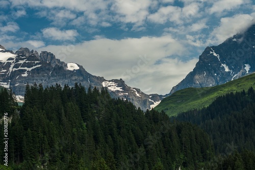 Beautiful swiss alps mountains. Alpine meadows. 